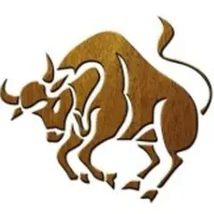 Býk – ilustrační obrázek