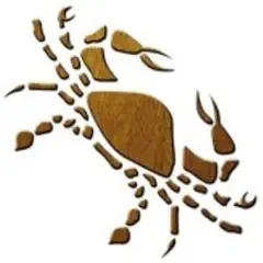 Rak – ilustrační obrázek